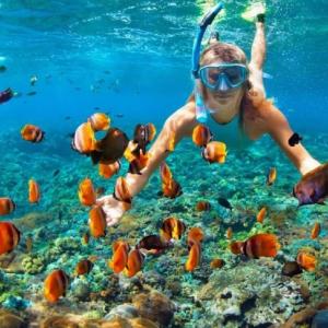 Aqaba Snorkeling