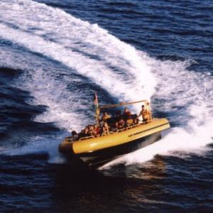 Aqaba Speed Boat